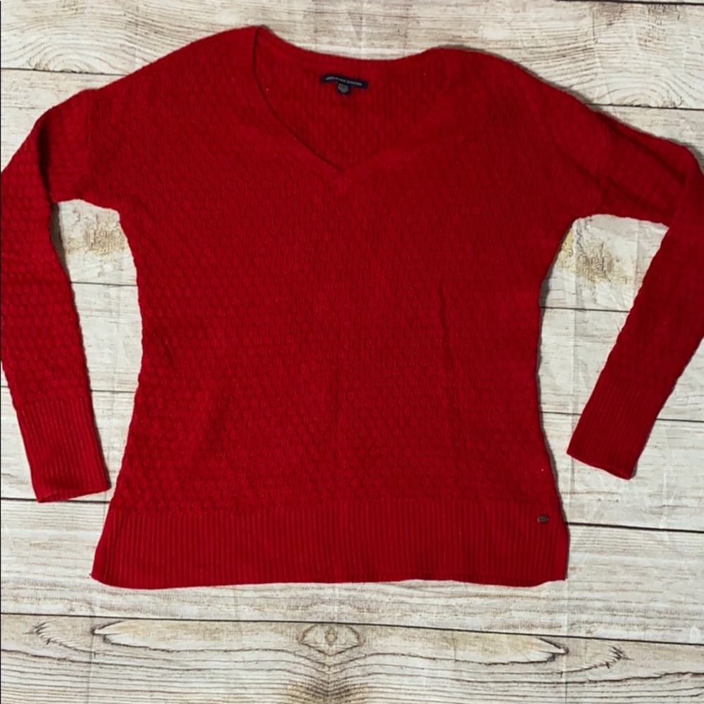 AMERICAN EAGLE 🦅 Crocheted Red Sweater